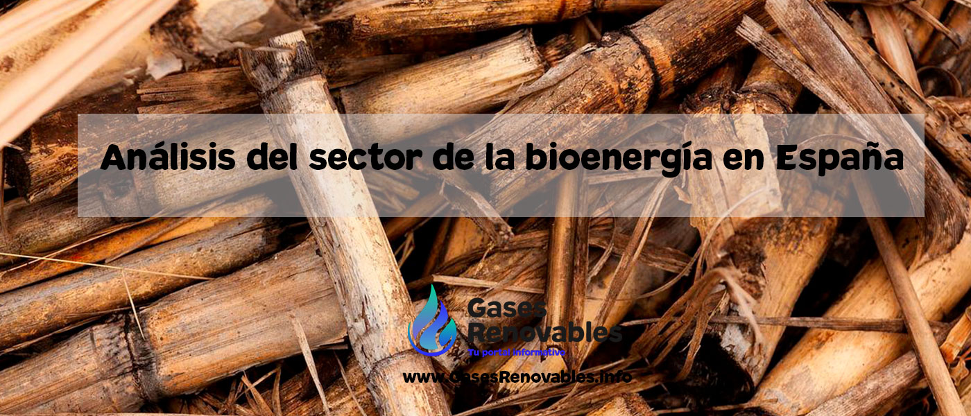 Sector de la bioenergía en España