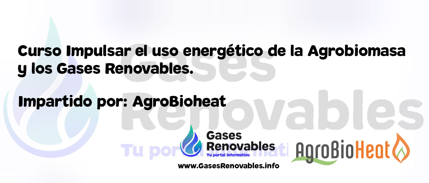 biomasa y gases renovables